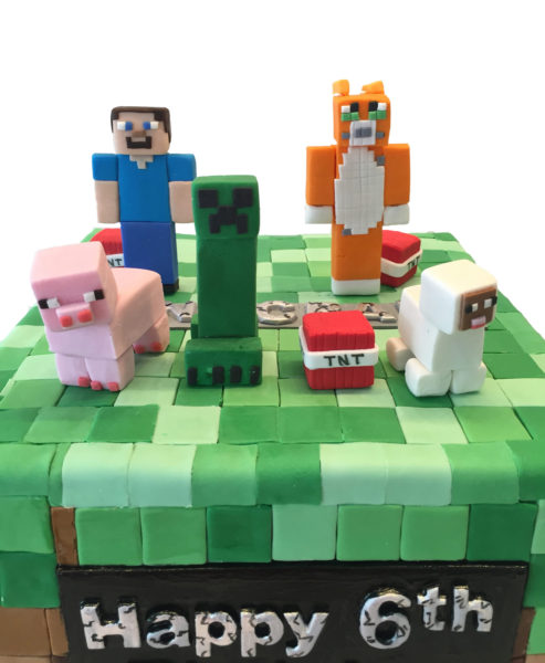 Minecraft style birthday cake for James